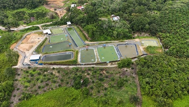 Aerial view of the fish ponds surrounded by tropical greenery