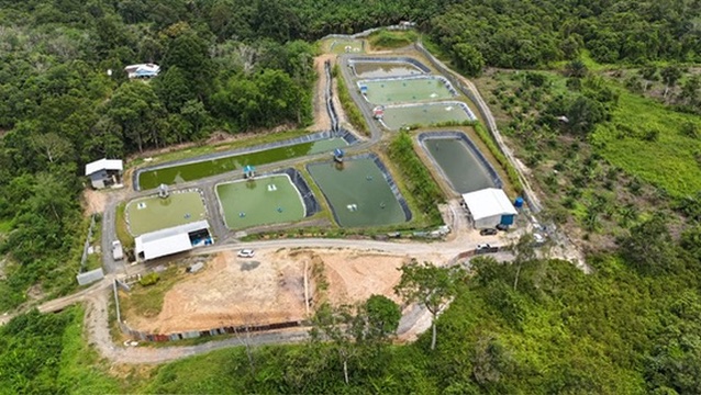 Aerial view across the farm's pond system