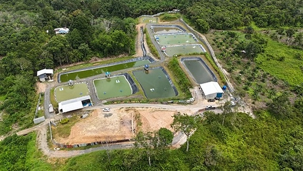 Aerial view of the farm's pond system and buildings