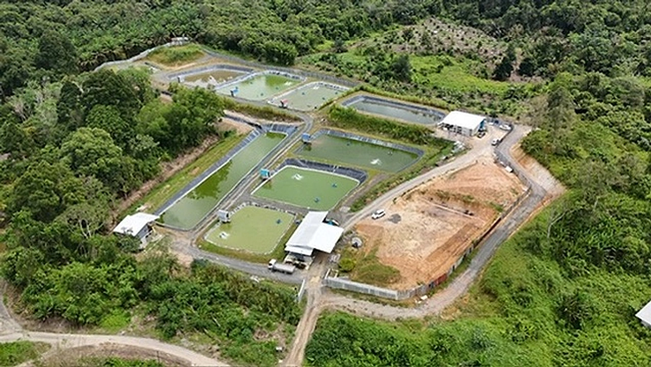 Aerial view of ponds, service roads and surrounding vegetation